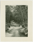 Mountain brook in San Antonio Canyon
