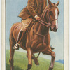 Galloping down hill.