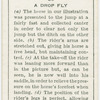 A drop fly.