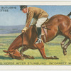 Helping horse after stumbling: incorrect method.