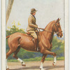 The trot.