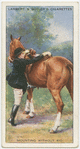 Mounting without aid.