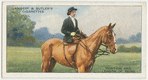Position and length of reins.