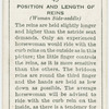Position and length of reins.
