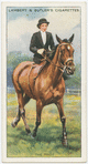 The trot.