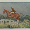 Show jumping.