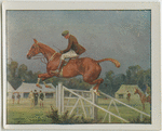 Show jumping.