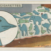 A jolly bedspread.