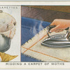 Ridding a carpet of moths.
