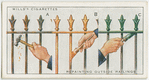 Repainting outside railings.