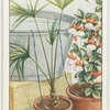 Keeping plants watered while away on holiday.