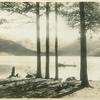 Classic pines and waters