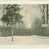 Trees in Tappan, New York