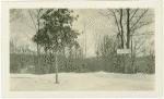 Trees in Tappan, New York