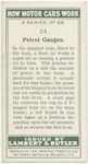 Petrol gauges.