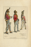 Officiers superieurs. Cavalier. Dragons Anglais. 1814-15. Gravures du temps.