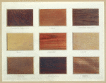 Some constructional and decorative woods in vogue during the seventeenth century.