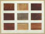 Some constructional and decorative woods in use during the eighteenth century.