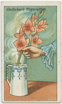 How to revive cut flowers.