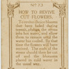How to revive cut flowers.