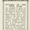 Studies of the wild rose.