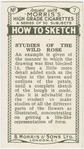 Studies of the wild rose.