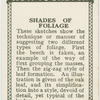 Shades of foliage.