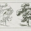 The oak tree.