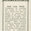 The oak tree.