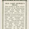 Old cart-horse's head.