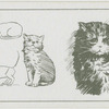 Studies of kittens.