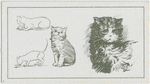 Studies of kittens.