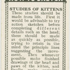 Studies of kittens.