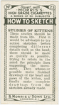 Studies of kittens.