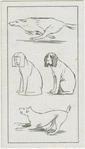 Action sketches of dogs.