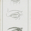 The eye.