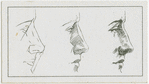 The nose.