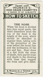 The nose.