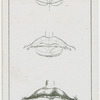 The mouth.