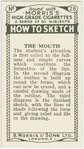The mouth.