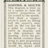 Nostril and mouth.