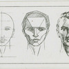 The head (full face).