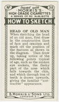 Head of old man.