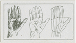 The hand.