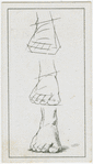 The front foot.