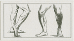 The legs.