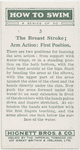 The breast stroke; arm action, first position.