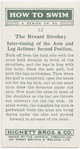 The breast stroke; inter-timing of the arm and leg actions: second position.