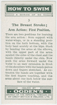 The breast stroke; arm action, first position.