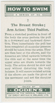 The breast stroke; arm action, third position.